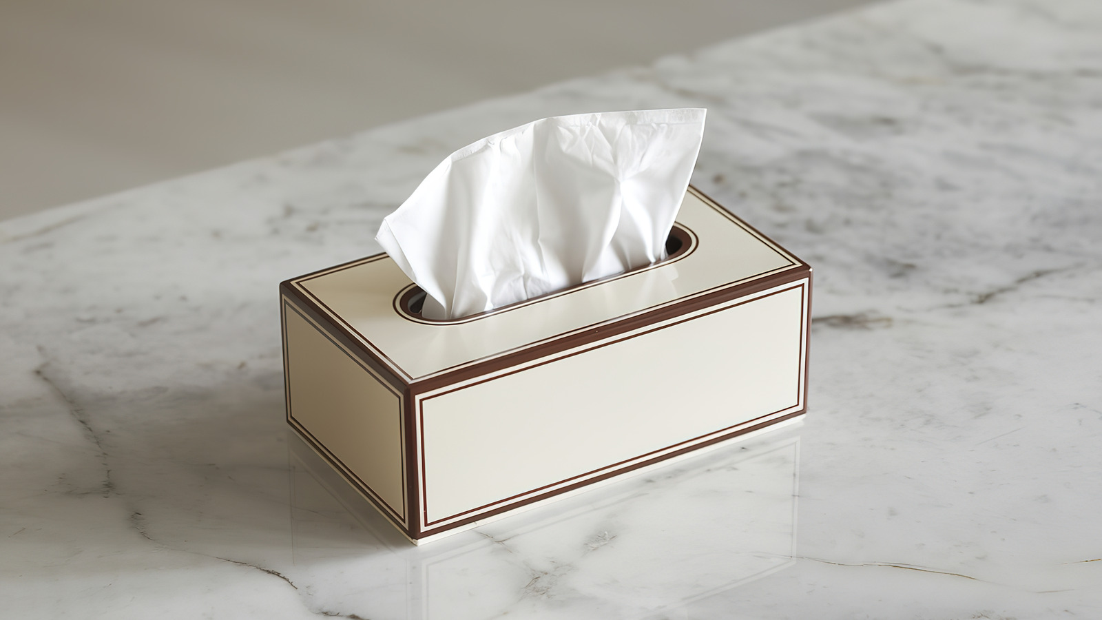 Boş bir doku kutusu atmayın - bunun yerine bu yaratıcı Upcycling DIY'yi deneyin