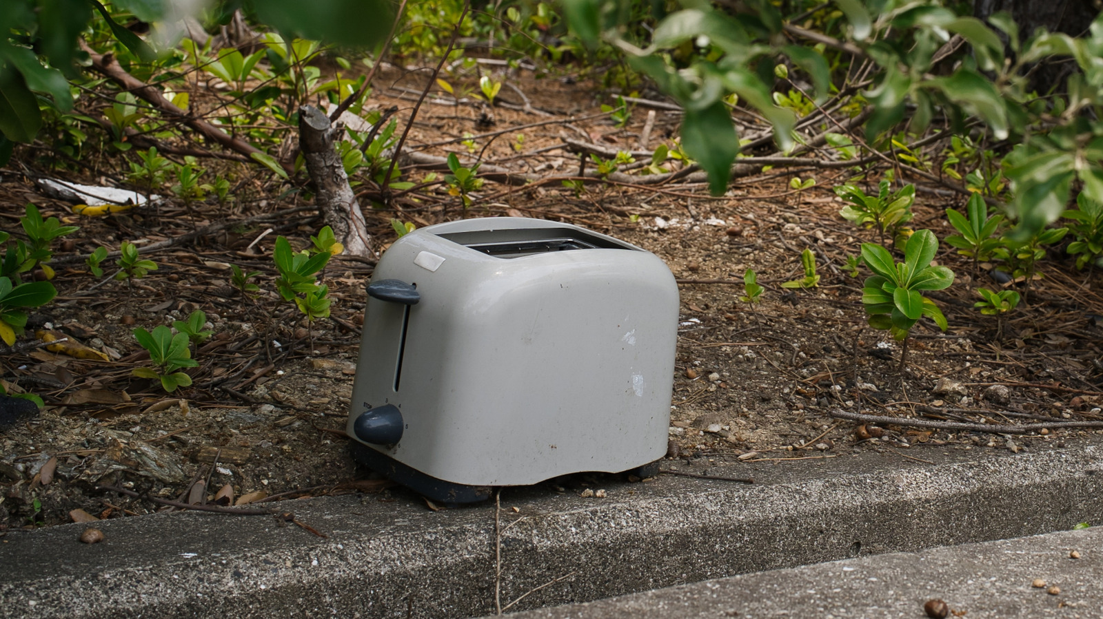 Ölü Teşavalandırıcıyı Ekran Değerli Dekora Dönüştürmenin Akıllı Bir Yolu