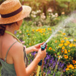 Sivrisinekleri uzak tutmaya çalışıyorsanız büyümek istemeyeceğiniz zemin örtüsü