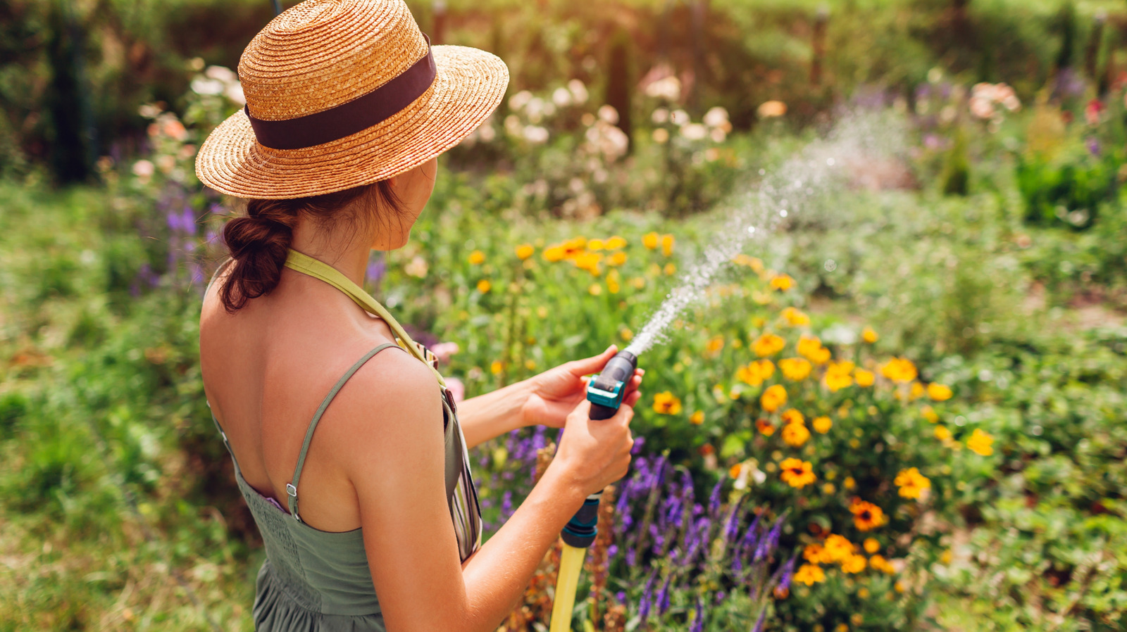 Sivrisinekleri uzak tutmaya çalışıyorsanız büyümek istemeyeceğiniz zemin örtüsü