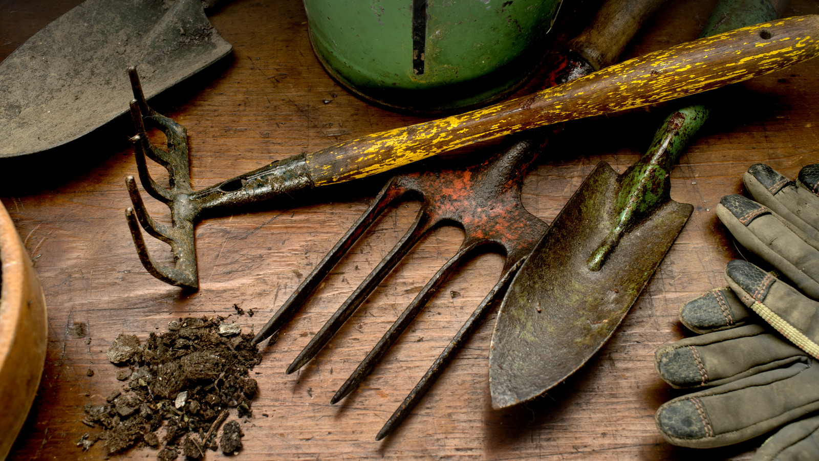 Her baharda yapmanız gereken bahçe alet bakımı