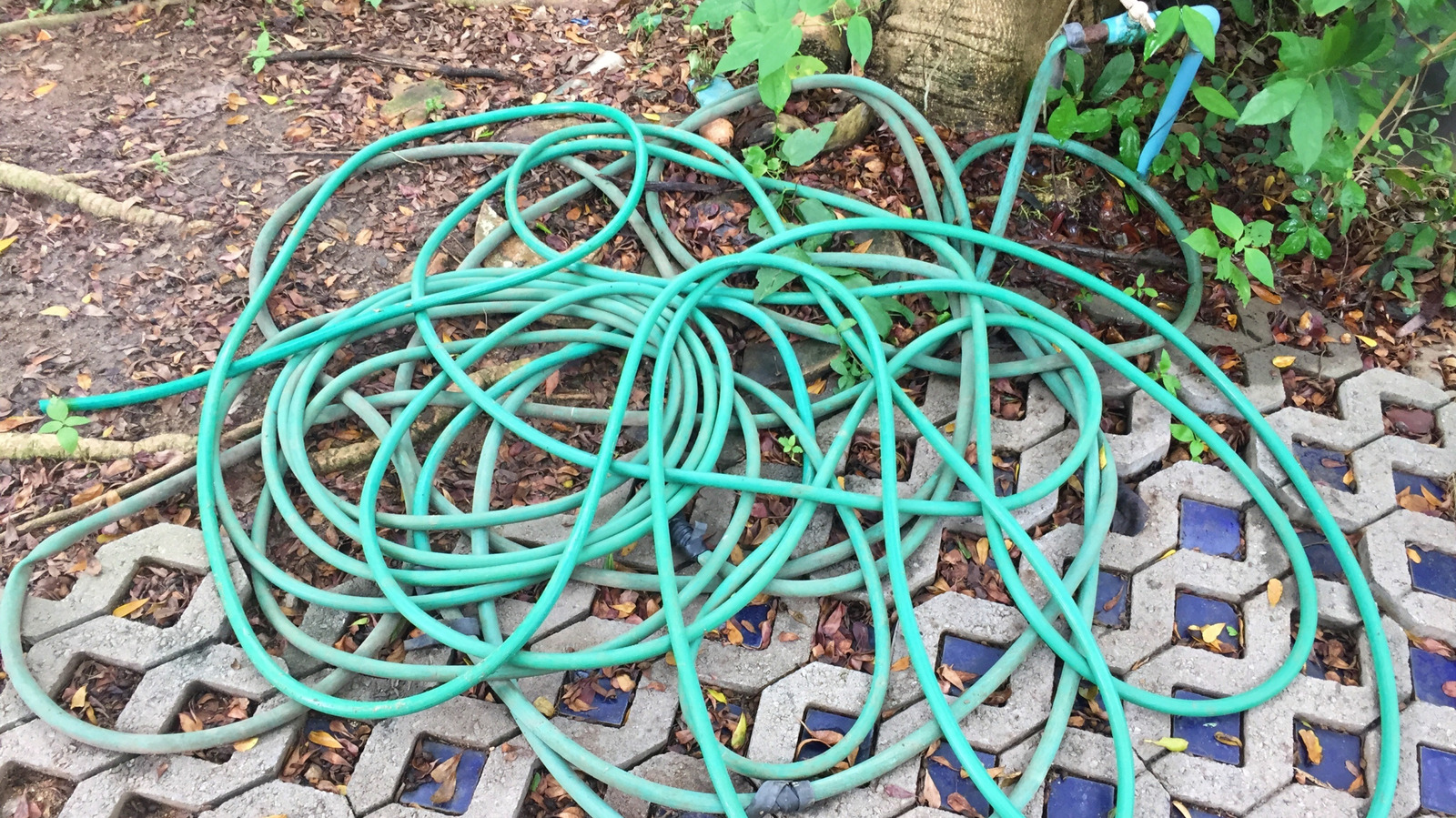 Bahçe hortumunuzu gizli tutan yüksek puan alan Costco ürünü