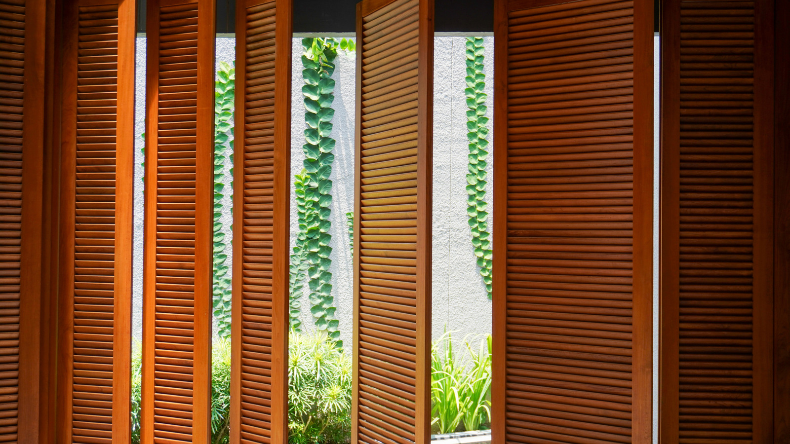 Tik ağacı pencere tedavileriniz için iyi bir seçim mi?