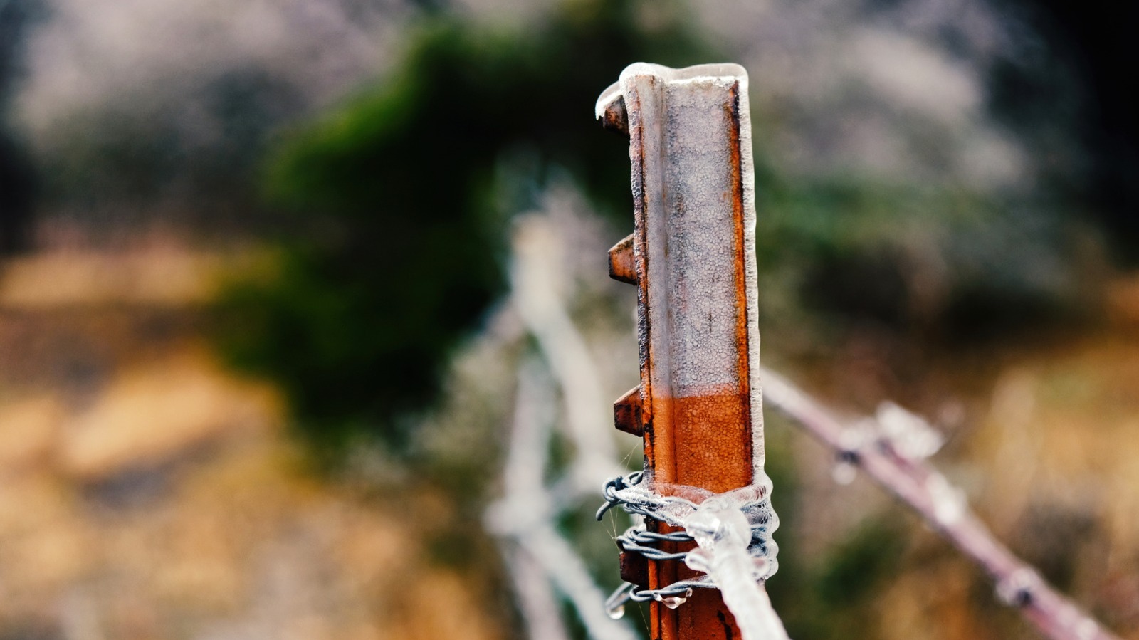 Çit yayınlarını çok daha kolay hale getirmeniz gereken en iyi araçlı araç