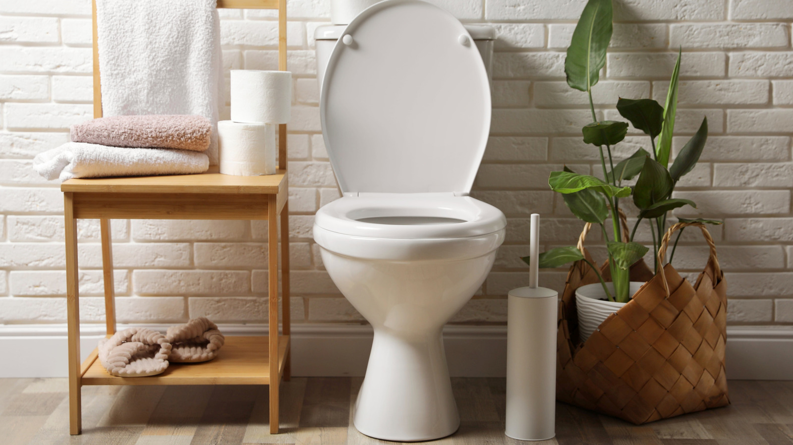 Evinizde kaç tuvalet fırçasına ihtiyacınız var?