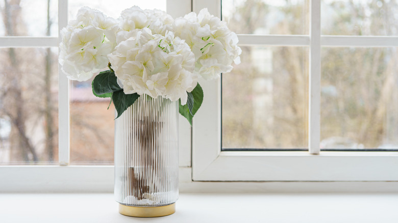 Pencere Eşyasında Cam Vazo Beyaz Hydrengea