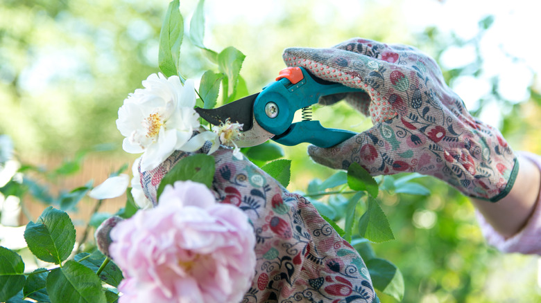 Çiçekler budama eldivenli ellerin yakın çekilmesi