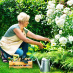 Bu bahçecilik aracını satın alma zamanı geldiğinde tasarruf mağazasında bir anlaşma için av