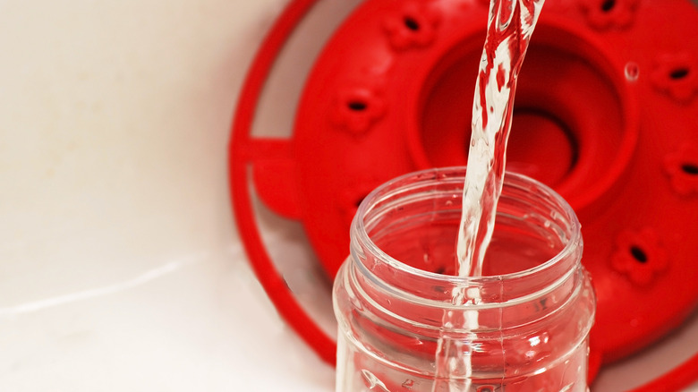 Sinek kuşu besleyicisini nektarla doldurmak