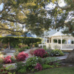 Dolar ağacında bir bütçeye takılabileceğiniz tuhaf bahçe aksesuarları