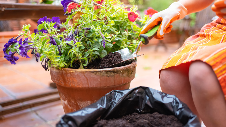 Büyük bir tencereyi toprakla doldurmak