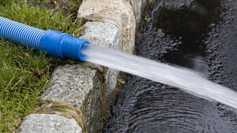 Sokağa kaldırım üzerine suyun pompalanan çim üzerinde yatan mavi bir hortum