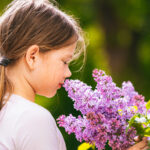 Leylak çiçeklerinizi nasıl koruyabilirsiniz (ve neden kesinlikle yapmanız gerekir)