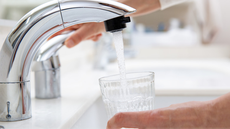 Mutfakta bir bardak dolduran bir musluk suyu filtresi