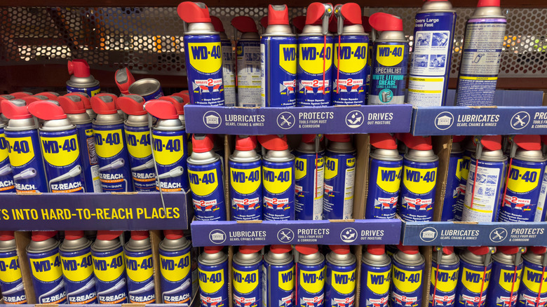 Mağaza rafında birçok farklı WD-40 kutu türü