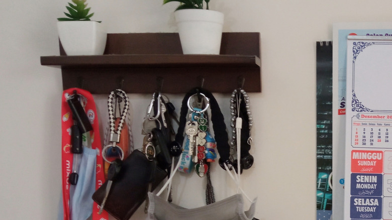 Bir sürü tuş, çanta ve ondan asılı maskeler ile üstte iki bitki bulunan kahverengi anahtar rafı