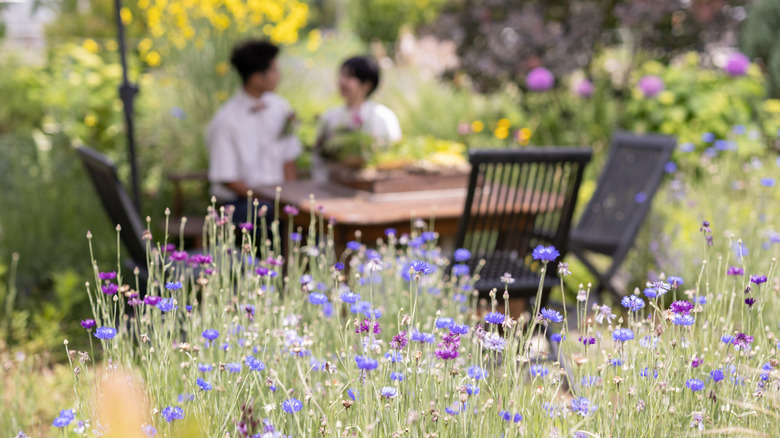 Ön planda kır çiçekleri ile arka planda bahçelerinin tadını çıkaran iki kişi