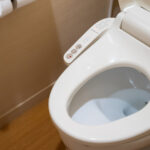 Kişisel fiyat aralığınıza uyan bütçe dostu bidetler