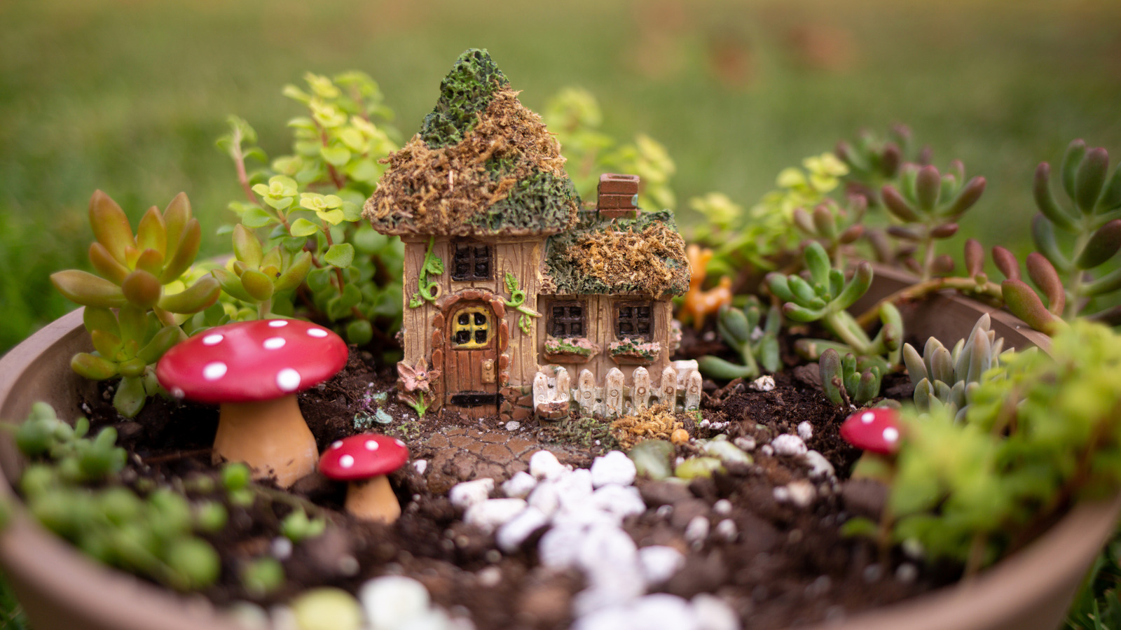 Bu DIY mantar ışıkları, herhangi bir peri bahçesine mükemmel bir ektir