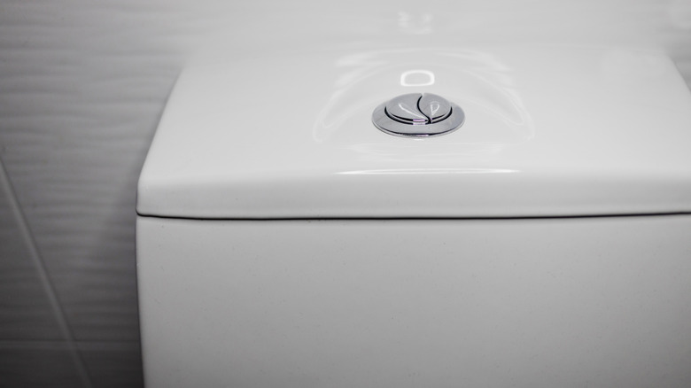 İki düğmeli tuvalet tankı