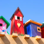 Bahçenize daha fazla kuş çekmek için satın almaya değer en iyi 3 en iyi kuş ev kiti