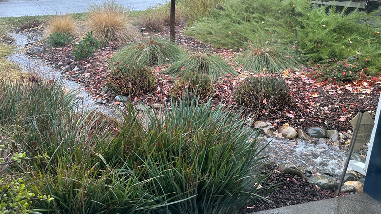 Ev dışında kuru dere yatağı