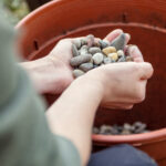 Kayalar ve çakıl neden bahçenizin drenajı için mükemmel bir seçimdir?