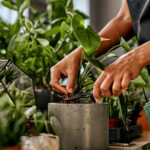 Eski bir piyano tezgahını benzersiz bir ekici haline getirin