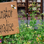 Bahçenizi bir tozlayıcı cenneti haline getirmek için bu 8 ortak ev eşyasını yeniden kullanın