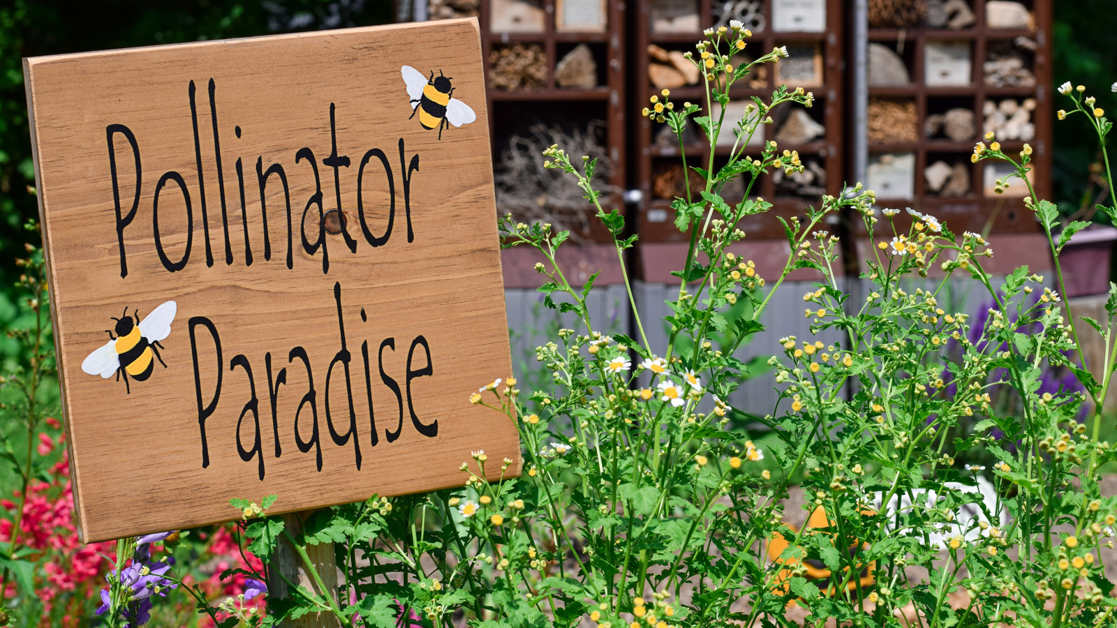 Bahçenizi bir tozlayıcı cenneti haline getirmek için bu 8 ortak ev eşyasını yeniden kullanın