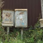 Bu iki boya rengi, bahçenizin en çirkin köşelerini kamufle edecek