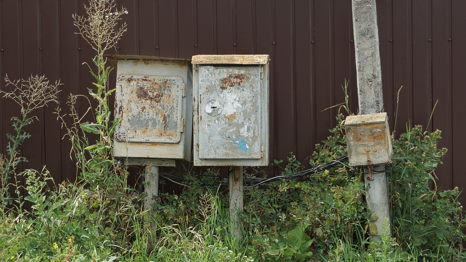 Bu iki boya rengi, bahçenizin en çirkin köşelerini kamufle edecek