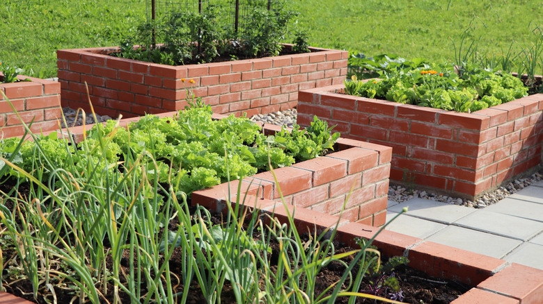 Tuğladan yapılmış yükseltilmiş bahçe yatakları
