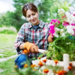 Muhteşem bahar çiçekleri üreten yerli yenilebilir bitki