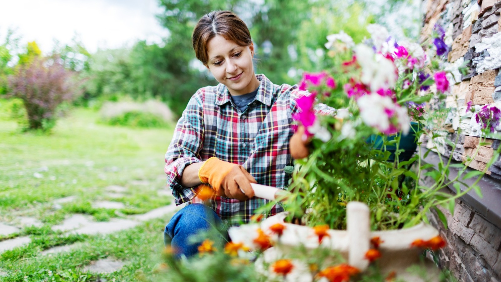 Muhteşem bahar çiçekleri üreten yerli yenilebilir bitki