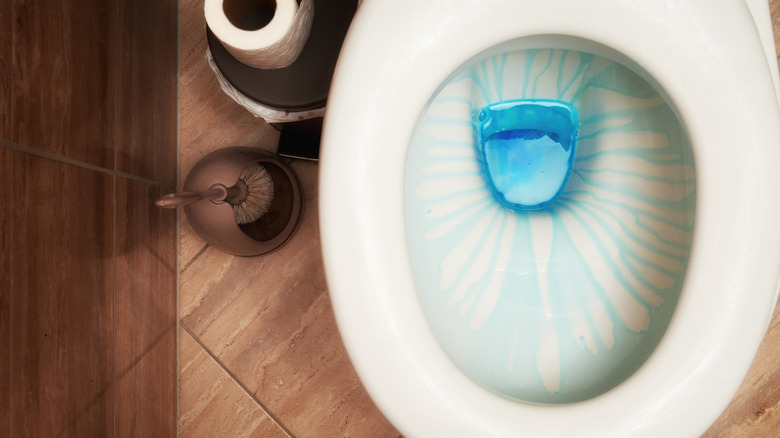 Kahverengi bir tuvalet fırçasının yanında tuvaletin içinde mavi tuvalet temizleyicinin en iyi görünümü ve tuvalet kağıdı rulosu