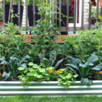 Walmart'ın galvanizli bahçe yatağının artıları ve eksileri ve satın almaya değerse