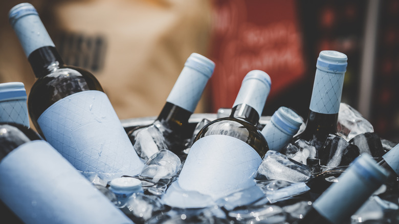 DIY buz kovasında oturan şişeler