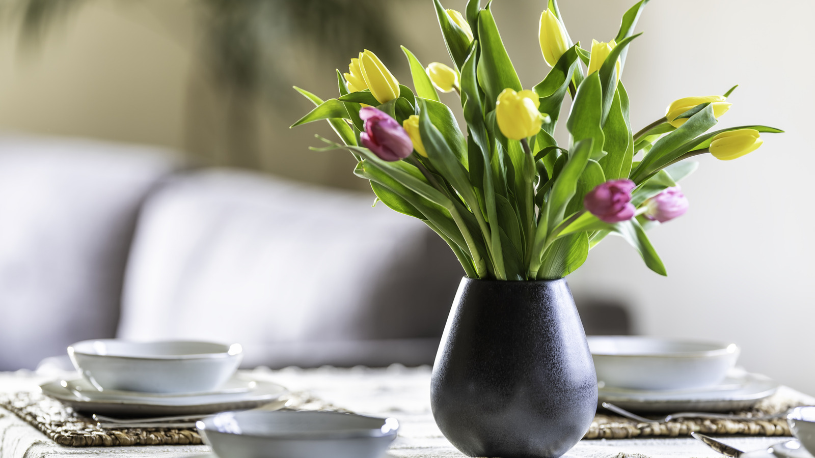 Sarkık çiçekleri hayata döndüren basit hack