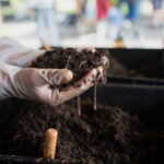 Bahçenizden kompost kullanarak serinizi ısıtın