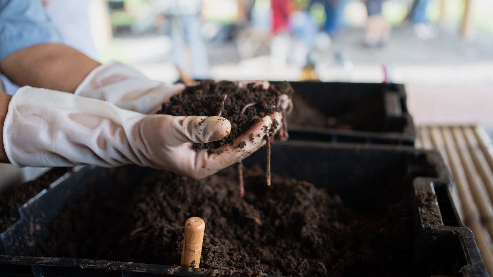 Bahçenizden kompost kullanarak serinizi ısıtın
