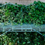 Bu dış mekan mobilyaları trendi artık iç mekanları devralıyor - işte bu yüzden çok iyi çalışıyor