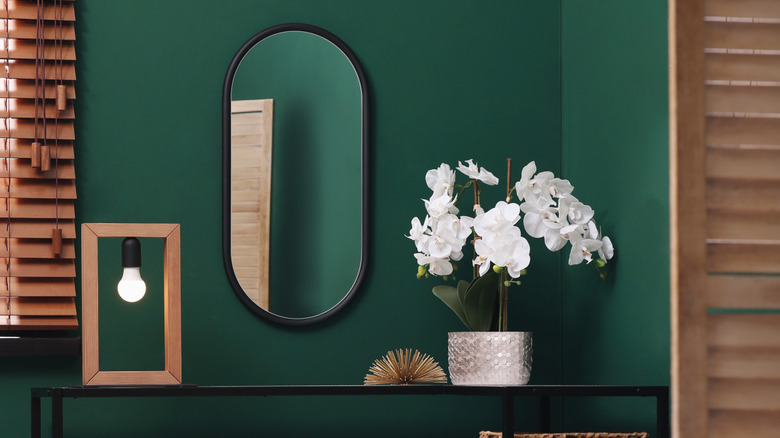 Toz odasında orman yeşili boya