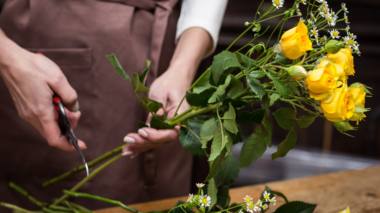 Taze çiçek saplarını kesen kişi
