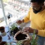 Konteyner bahçesinde sorumlu bir şekilde büyümeye değer tek ot