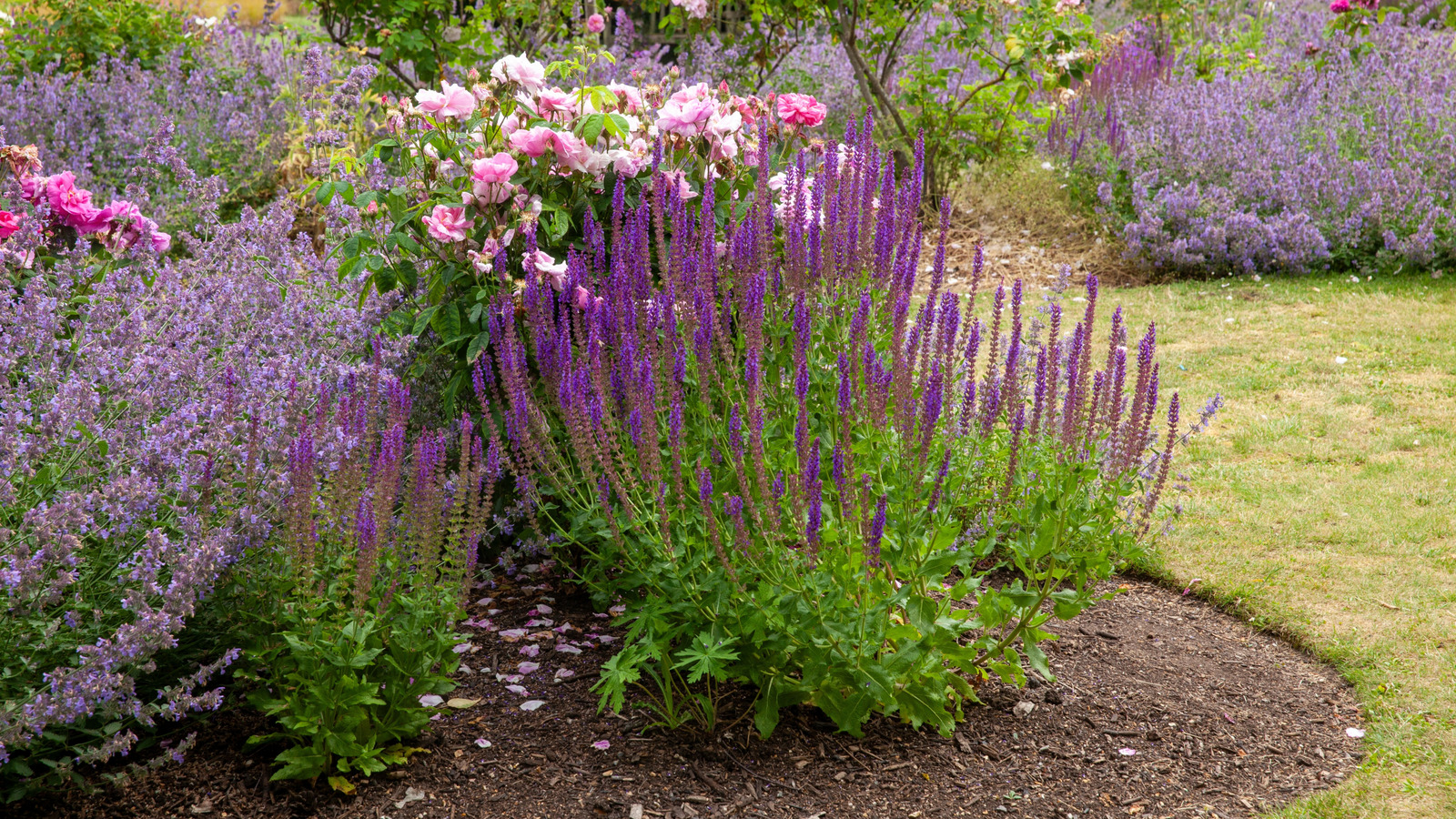 Bahçenizde çok yıllık bir sınır yapmanın en kolay ve en uygun yolu