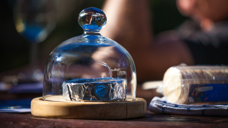 İçinde sarılı peynir bulunan bir cam cloche