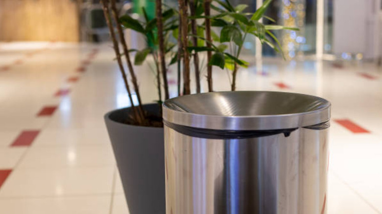 Büyük saksı arkasında büyük çelik çöp kutusu
