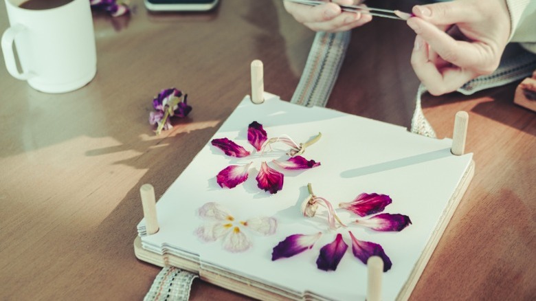 Baskı için çiçek yaprakları koyan bir kişi.