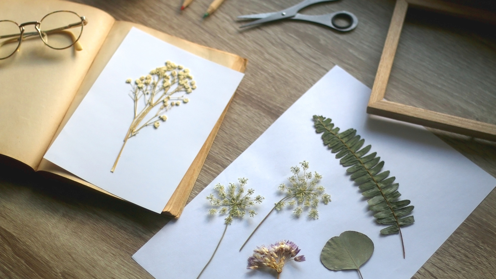 Birkaç uygun fiyatlı malzemeye sahip DIY Vintage Doğa'dan İlhamlı Duvar Plakları